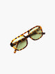 Tortoise / Green